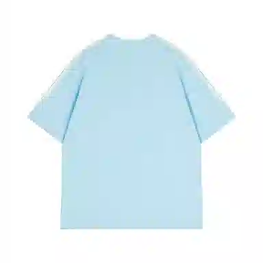 LSVE V T