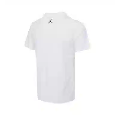 Jordan FltAJ1 LogoT