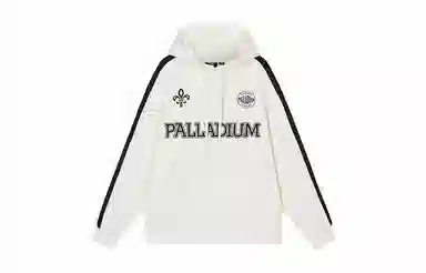 Palladium LOGO