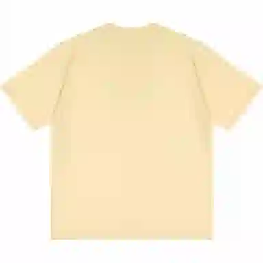 INS T