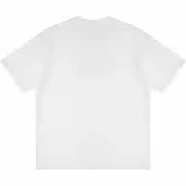 INS T
