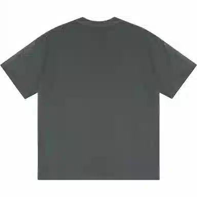 INS T