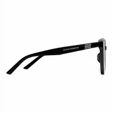 Gentle Monster Irregular Sunglasses Black