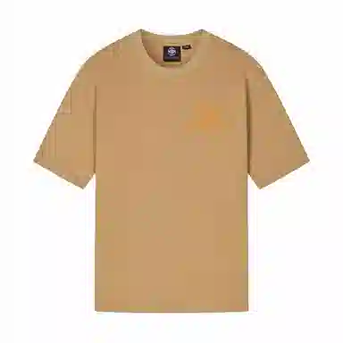 Palladium T