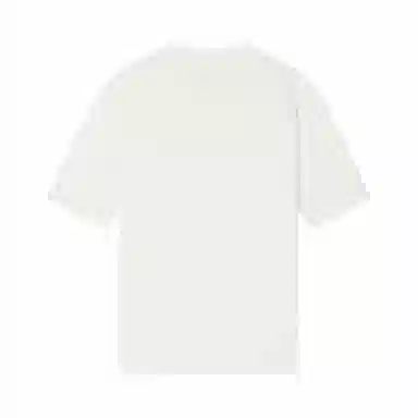 Palladium T