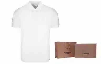 Burberry TBLogoPolo 8014005
