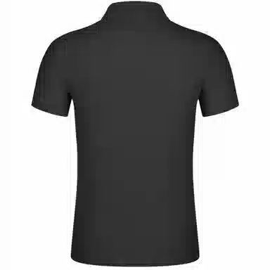 Automobili Lamborghini Polo