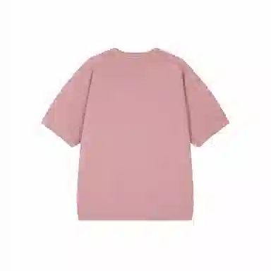 Champion SS25 T