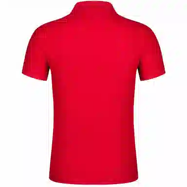 Automobili Lamborghini Polo