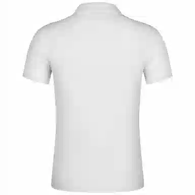 Automobili Lamborghini Polo