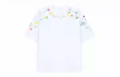 HIKZ T
