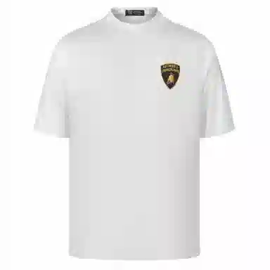 Automobili Lamborghini logoT