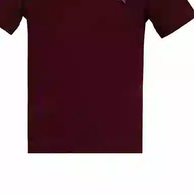 Burberry Polo