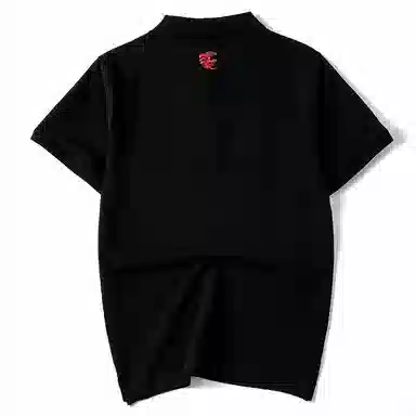 PIERRE CARDIN Polo
