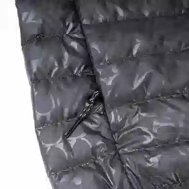 COACH FW22 Down Jacket Hoodie Black