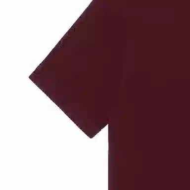 Burberry Polo