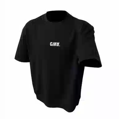 GWAF 280cleanfitboxyT