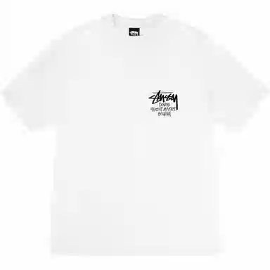 Stussy SS25 DSM logoT