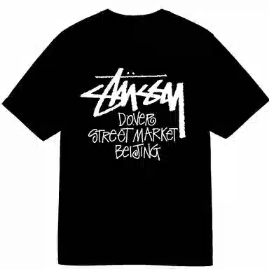 Stussy SS25 DSM logoT