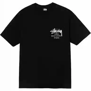 Stussy SS25 DSM logoT