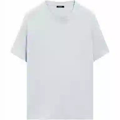 Massimo Dutti T