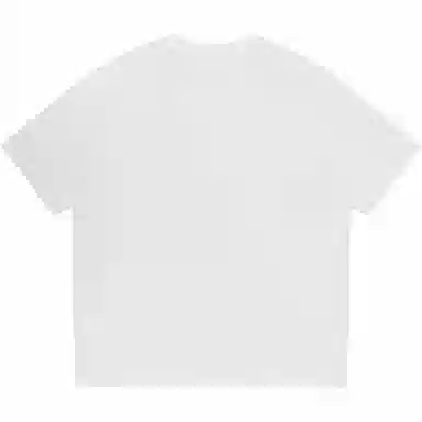 WELTER EXPERIMENT 3DT