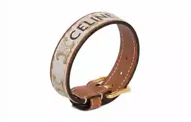 CELINE Logo