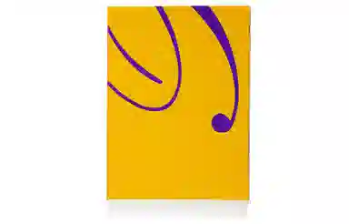 Burberry Scarf Yellow