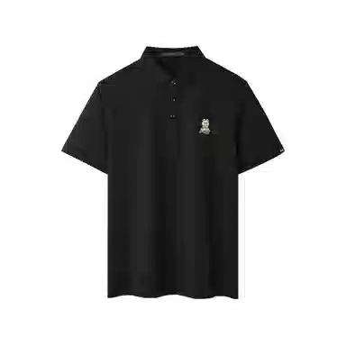 HLA POLO