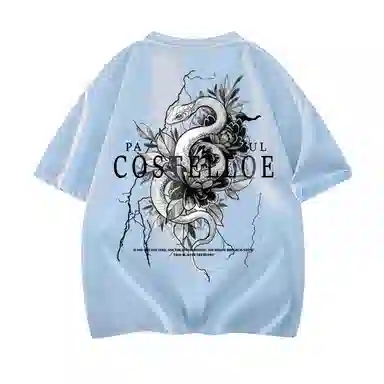 PAUL COSTELLOE T
