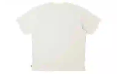 dickies L0G0T T DK0A87QZ