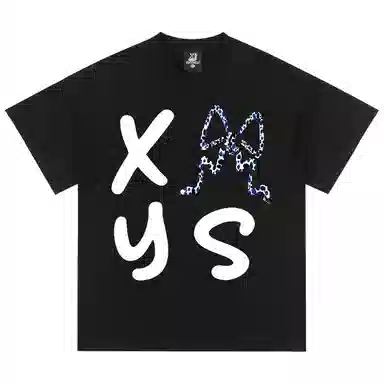 XINYINSU T