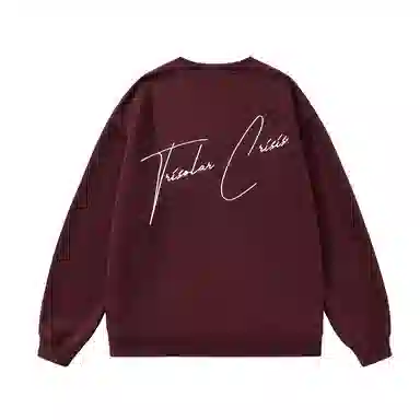 三体 水滴危机系列 简约字母绣花休闲宽松复古美式高街潮牌套头圆领百搭重磅基础款纯色学生多巴胺日常通勤卫衣 男女同款