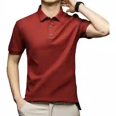 Pierre Cardin Polo Shirt