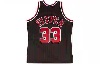 Mitchell Ness NBA AU 95-96 33