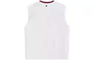 Champion FW22 LogoV