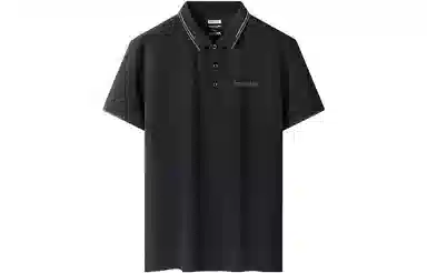 LogoPolo