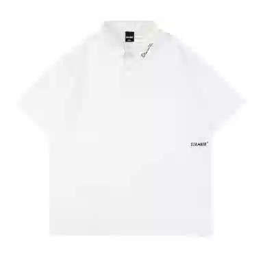 STANAIR LogoPolo