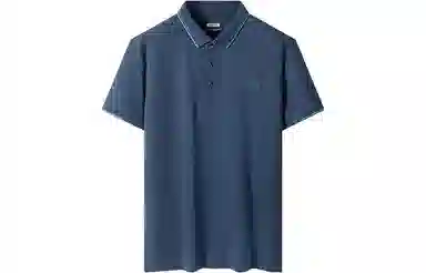 LogoPolo