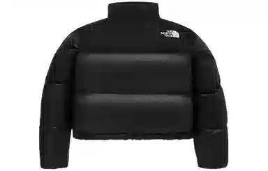 THE NORTH FACE W's Novelty Nuptse Down Jacket