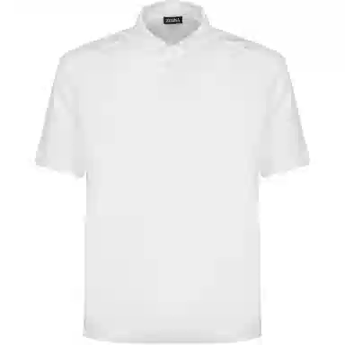 Zzegna Polo