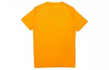Champion T