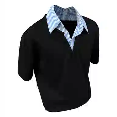 230PAINT STAIN PoloT