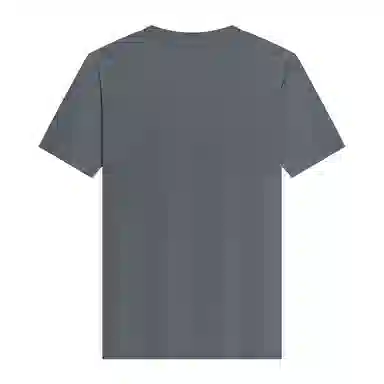 JUDGER T