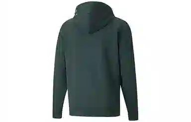 Puma Winterized Logo