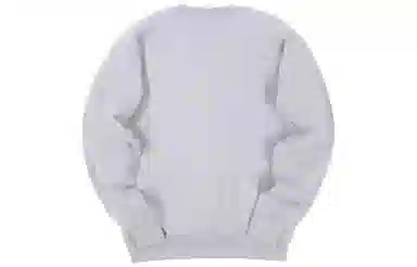 Thrasher Godzilla Crew Grey