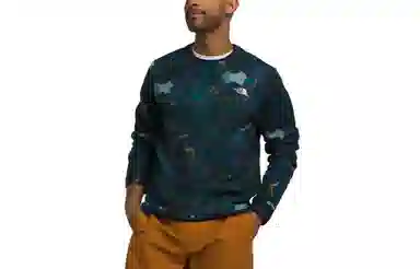 THE NORTH FACE Alpine Polartec 100 Crew