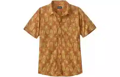 Patagonia Striped Short Sleeve Shirt