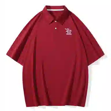 dnnnnx LogoPolo
