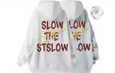 Stillslow Logo 2
